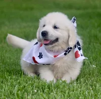 processed/a8e296fa-b924-42e6-a0fe-44b376c56681/facility/b9722460-1652-420f-bf00-44f6892c6d84