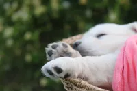 processed/a8e296fa-b924-42e6-a0fe-44b376c56681/facility/e892b565-96d0-4791-b7be-2998c5069256