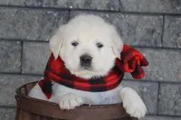 processed/a8e296fa-b924-42e6-a0fe-44b376c56681/facility/f1bda623-455c-4ef0-bb86-4d7b09600721