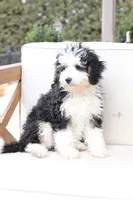 processed/a8eac886-ad3b-4fea-a514-fa6711a82f36/listing/0b8eb2ea-8765-4c75-a07e-27057d3e368e/145fc8c0-8c27-48e6-aca1-ecfff7921507