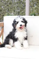 processed/a8eac886-ad3b-4fea-a514-fa6711a82f36/listing/0b8eb2ea-8765-4c75-a07e-27057d3e368e/1f68ce4b-f1aa-437d-b362-d8842fa4b314