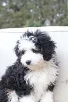 processed/a8eac886-ad3b-4fea-a514-fa6711a82f36/listing/0b8eb2ea-8765-4c75-a07e-27057d3e368e/1f7b62c2-19d4-43c6-8db7-587fd5ded062