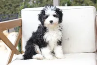 processed/a8eac886-ad3b-4fea-a514-fa6711a82f36/listing/0b8eb2ea-8765-4c75-a07e-27057d3e368e/4289c53a-c11b-4640-b1bc-00e880fe866c