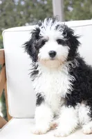 processed/a8eac886-ad3b-4fea-a514-fa6711a82f36/listing/0b8eb2ea-8765-4c75-a07e-27057d3e368e/65680ed6-676d-45d8-8a11-43fee487940a