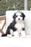 processed/a8eac886-ad3b-4fea-a514-fa6711a82f36/listing/0b8eb2ea-8765-4c75-a07e-27057d3e368e/9173c666-0e20-436a-b1b3-765062ac22d2