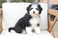 processed/a8eac886-ad3b-4fea-a514-fa6711a82f36/listing/0b8eb2ea-8765-4c75-a07e-27057d3e368e/a11494a8-54dd-46ec-b67c-ac08dacb020c