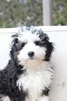 processed/a8eac886-ad3b-4fea-a514-fa6711a82f36/listing/0b8eb2ea-8765-4c75-a07e-27057d3e368e/f8d6589d-0d0b-42eb-b65f-2994fd5950c3