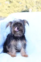 processed/a8eac886-ad3b-4fea-a514-fa6711a82f36/listing/45513f46-c520-4003-902b-7990550dfc2c/21a67d30-9e14-407e-af26-738ca8dcf7ba