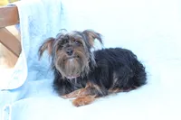 processed/a8eac886-ad3b-4fea-a514-fa6711a82f36/listing/45513f46-c520-4003-902b-7990550dfc2c/535ef6b0-9988-446f-9360-0433073f74d5