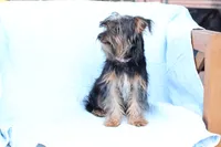 processed/a8eac886-ad3b-4fea-a514-fa6711a82f36/listing/45513f46-c520-4003-902b-7990550dfc2c/5784c894-b75d-401d-98c8-69edc7888690