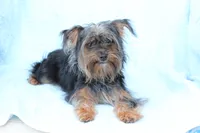 processed/a8eac886-ad3b-4fea-a514-fa6711a82f36/listing/45513f46-c520-4003-902b-7990550dfc2c/a73e2e64-57fd-4535-949a-77c4868c40ac