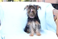 processed/a8eac886-ad3b-4fea-a514-fa6711a82f36/listing/45513f46-c520-4003-902b-7990550dfc2c/ac43b684-a133-4392-a688-8fcd7a2eda15