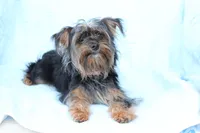 processed/a8eac886-ad3b-4fea-a514-fa6711a82f36/listing/45513f46-c520-4003-902b-7990550dfc2c/dee06fa9-de27-425c-ac24-e967b0130028