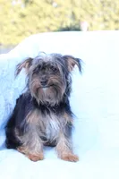 processed/a8eac886-ad3b-4fea-a514-fa6711a82f36/listing/45513f46-c520-4003-902b-7990550dfc2c/e4d11e72-a38d-47cb-8e55-cddb9d08c98c