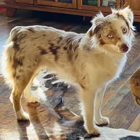 processed/a8f2e24b-6c6c-4596-9816-7644c651d4dc/facility/1c8bb933-26e8-48d5-9ce1-6e10eedd492a