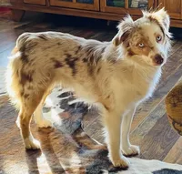 processed/a8f2e24b-6c6c-4596-9816-7644c651d4dc/facility/1c8bb933-26e8-48d5-9ce1-6e10eedd492a