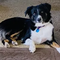 processed/a8f2e24b-6c6c-4596-9816-7644c651d4dc/facility/9a1b79a8-d8d0-4cdb-a546-5dcd02c60978