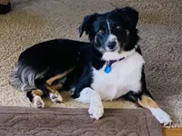 processed/a8f2e24b-6c6c-4596-9816-7644c651d4dc/facility/9a1b79a8-d8d0-4cdb-a546-5dcd02c60978