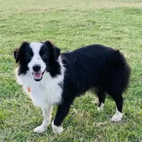 processed/a8f2e24b-6c6c-4596-9816-7644c651d4dc/facility/a52e6c31-f91b-46b6-b279-ad132a3e0d2e