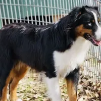 processed/a8f2e24b-6c6c-4596-9816-7644c651d4dc/facility/d878e4bc-9466-45db-8467-a82b4845daee