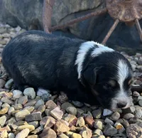 processed/a8f2e24b-6c6c-4596-9816-7644c651d4dc/listing/1eb1a3f1-81f0-4a71-b739-d9ac3d7b8c0b/1348fc5c-426a-49b7-bb74-eded31b870a5