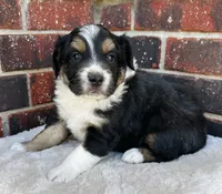 processed/a8f2e24b-6c6c-4596-9816-7644c651d4dc/listing/1eb1a3f1-81f0-4a71-b739-d9ac3d7b8c0b/23a4dbdd-99e8-4dad-939b-5cedfba96b96