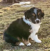 processed/a8f2e24b-6c6c-4596-9816-7644c651d4dc/listing/1eb1a3f1-81f0-4a71-b739-d9ac3d7b8c0b/8e2dc6cb-ea46-4900-9e57-075e959725a0