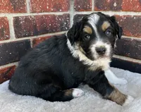 processed/a8f2e24b-6c6c-4596-9816-7644c651d4dc/listing/1eb1a3f1-81f0-4a71-b739-d9ac3d7b8c0b/af030980-1d41-4f7d-b54c-2ba2851701ad