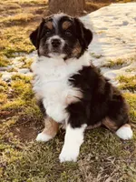 processed/a8f2e24b-6c6c-4596-9816-7644c651d4dc/listing/1eb1a3f1-81f0-4a71-b739-d9ac3d7b8c0b/d9085e6b-fa49-444e-907e-190e8ff6ea8b