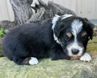 processed/a8f2e24b-6c6c-4596-9816-7644c651d4dc/listing/1eb1a3f1-81f0-4a71-b739-d9ac3d7b8c0b/e8d7378b-6de0-4a9b-9478-f12dd1cdeeaf