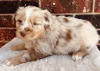 processed/a8f2e24b-6c6c-4596-9816-7644c651d4dc/listing/ca59e56a-004e-4881-830a-c3910096940f/060767c0-2216-4327-8748-5c1a9d96fd3c