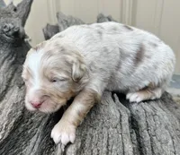 processed/a8f2e24b-6c6c-4596-9816-7644c651d4dc/listing/ca59e56a-004e-4881-830a-c3910096940f/20640f4e-1965-4f83-a366-126ac2bd2f4b