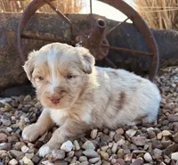 processed/a8f2e24b-6c6c-4596-9816-7644c651d4dc/listing/ca59e56a-004e-4881-830a-c3910096940f/287f77ec-7060-46ce-a459-010a7f693c7e