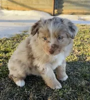 processed/a8f2e24b-6c6c-4596-9816-7644c651d4dc/listing/ca59e56a-004e-4881-830a-c3910096940f/3bbed7a3-a95f-484b-ab01-db602bb6aa58