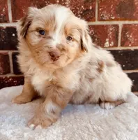 processed/a8f2e24b-6c6c-4596-9816-7644c651d4dc/listing/ca59e56a-004e-4881-830a-c3910096940f/9a504bc7-4a20-4b8d-b14e-74e877e590c6