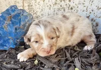 processed/a8f2e24b-6c6c-4596-9816-7644c651d4dc/listing/ca59e56a-004e-4881-830a-c3910096940f/bad8c2e9-fa5a-4479-a096-25585022e5e6