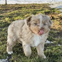 processed/a8f2e24b-6c6c-4596-9816-7644c651d4dc/listing/ca59e56a-004e-4881-830a-c3910096940f/fc12323d-b16a-4cf8-a4f0-89942bf2bcfd