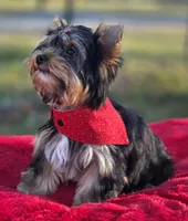 processed/a8f5664c-8f99-49ca-a9b2-8b0c7413c8aa/listing/6b8aa57e-fb69-4bb2-8112-d1ff568e54bd/0cd62582-a452-4d3b-bdb8-5dd9d8e5d816