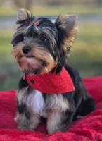 processed/a8f5664c-8f99-49ca-a9b2-8b0c7413c8aa/listing/6b8aa57e-fb69-4bb2-8112-d1ff568e54bd/2a04b0f1-2d65-4d30-a2fc-348f5fafa939