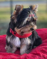 processed/a8f5664c-8f99-49ca-a9b2-8b0c7413c8aa/listing/6b8aa57e-fb69-4bb2-8112-d1ff568e54bd/6e3a9bd8-e5aa-4413-b04a-807142b59217