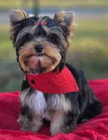 processed/a8f5664c-8f99-49ca-a9b2-8b0c7413c8aa/listing/6b8aa57e-fb69-4bb2-8112-d1ff568e54bd/7068c991-5b19-420a-9d69-dfbab97584f8