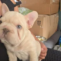 processed/a9018ed7-f26d-4ee0-9b7c-6ca2e0249e91/facility/56721639-102d-4603-ae8c-b6ddd84c6c6f