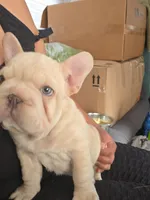 processed/a9018ed7-f26d-4ee0-9b7c-6ca2e0249e91/facility/56721639-102d-4603-ae8c-b6ddd84c6c6f