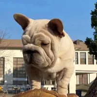 processed/a9018ed7-f26d-4ee0-9b7c-6ca2e0249e91/facility/68e8e7aa-a9a8-435e-9333-51ddbd99dc49