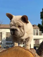 processed/a9018ed7-f26d-4ee0-9b7c-6ca2e0249e91/facility/68e8e7aa-a9a8-435e-9333-51ddbd99dc49