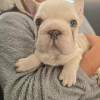 processed/a9018ed7-f26d-4ee0-9b7c-6ca2e0249e91/facility/c9ef308a-f40c-4410-9afb-a3d6f00bb25c