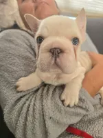 processed/a9018ed7-f26d-4ee0-9b7c-6ca2e0249e91/facility/c9ef308a-f40c-4410-9afb-a3d6f00bb25c