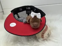 Marley, a female Miniature Goldendoodle for sale in Huntington, UT – 10 of 10