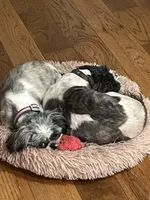 processed/a90be2f3-9b9c-4351-afc2-72b64f09bfc9/facility/150cb1cc-111e-445b-9415-7a312a242c7e