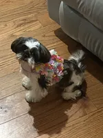 processed/a90be2f3-9b9c-4351-afc2-72b64f09bfc9/facility/d710ceb3-c8e1-4e47-93a9-f9c59e6904f5